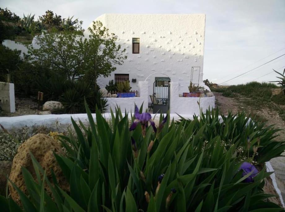 Cuevas Los Coloraos - La Residencia Villanueva de las Torres Exterior photo
